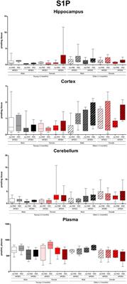 Effects of Sex, Age, and Apolipoprotein E Genotype on Brain Ceramides and Sphingosine-1-Phosphate in Alzheimer’s Disease and Control Mice